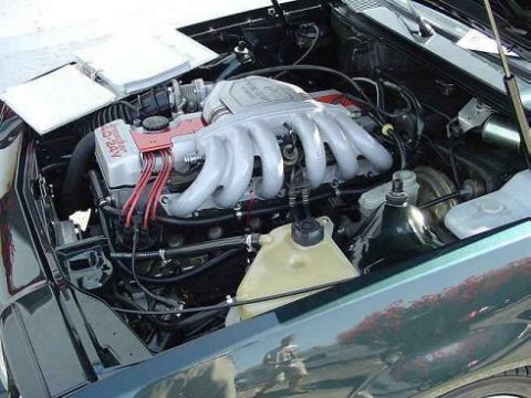 Manta 4.0 24V