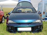 tigra
